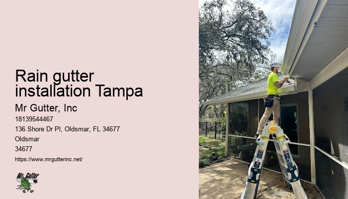 Rain gutter installers Rain gutter installation Tampa