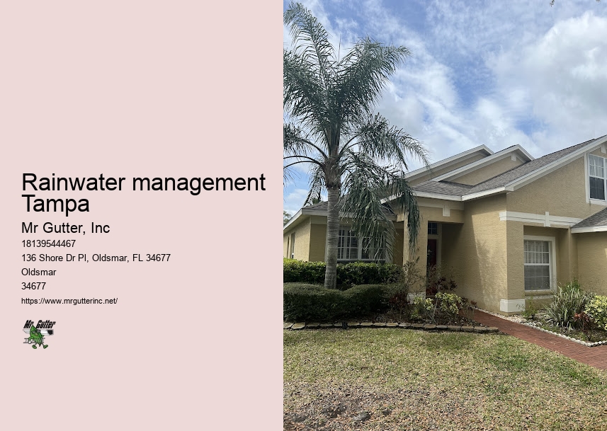 Gutter installation promotion Rainwater management Tampa