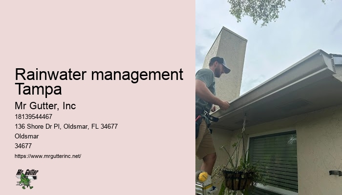 Gutter installation reviews and ratings Rainwater management Tampa