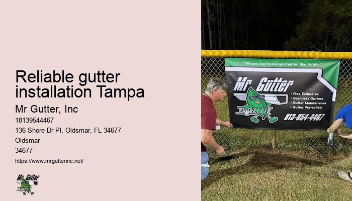 Gutter system installation Reliable gutter installation Tampa