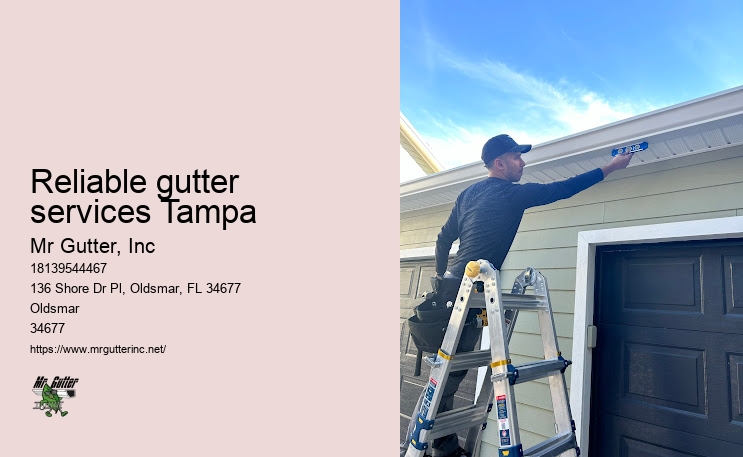 Gutter and downspout cleaning Reliable gutter services Tampa
