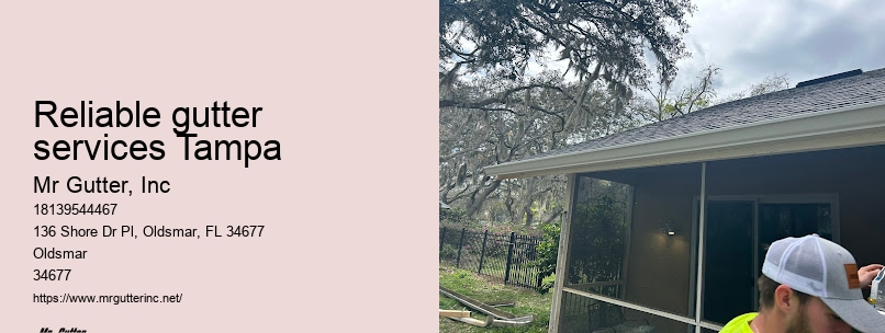 Gutter protection systems Reliable gutter services Tampa