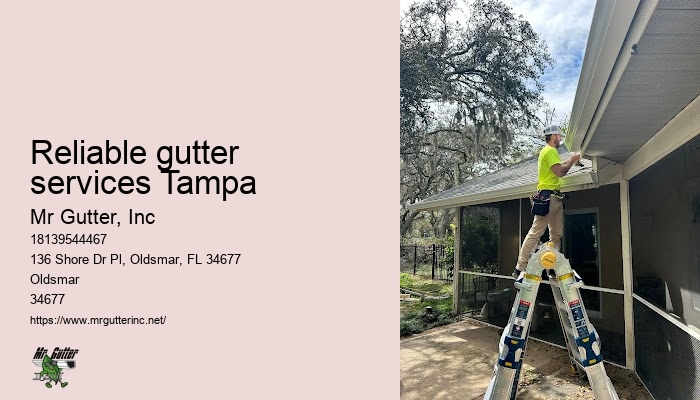Reliable gutter services Tampa gutter installation estimate