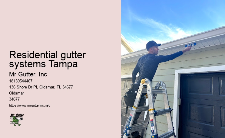 Residential gutter systems Tampa gutter system inspection