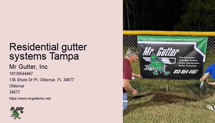 Gutter services near me Residential gutter systems Tampa