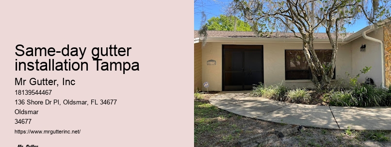 Gutter installation testimonials Same-day gutter installation Tampa
