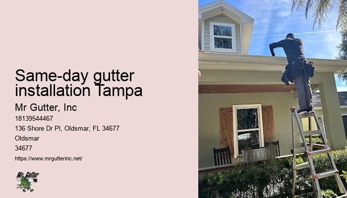 Best value gutter installation Same-day gutter installation Tampa