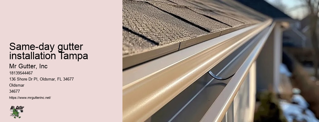 Affordable seamless gutter installation Same-day gutter installation Tampa