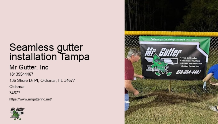 Seamless gutter installation Tampa gutter services