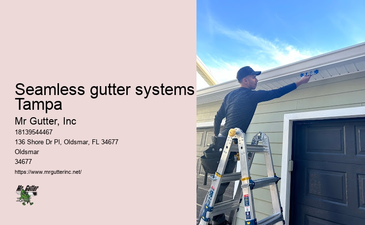Seamless gutter systems Tampa gutter repair reviews