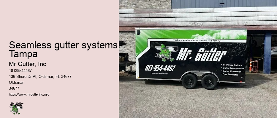 Seamless gutter systems Tampa gutter repair professionals