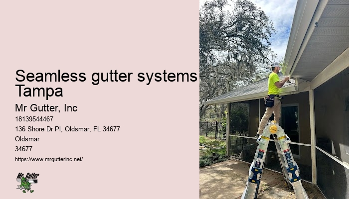Gutter cleaning cost Seamless gutter systems Tampa