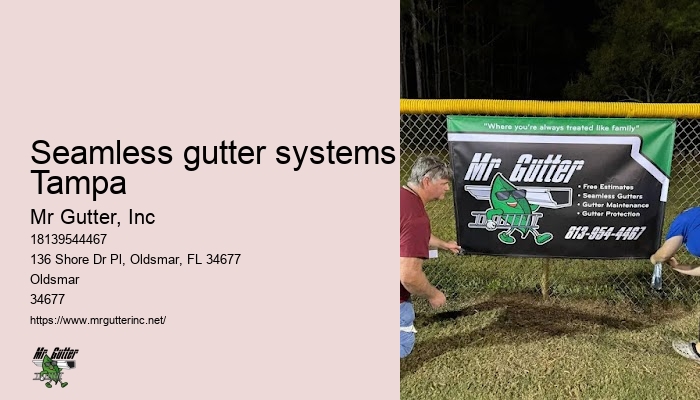 Seamless gutter systems Tampa gutter cleaning reviews
