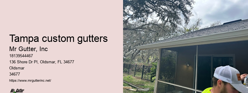 Gutter replacement professionals Tampa custom gutters