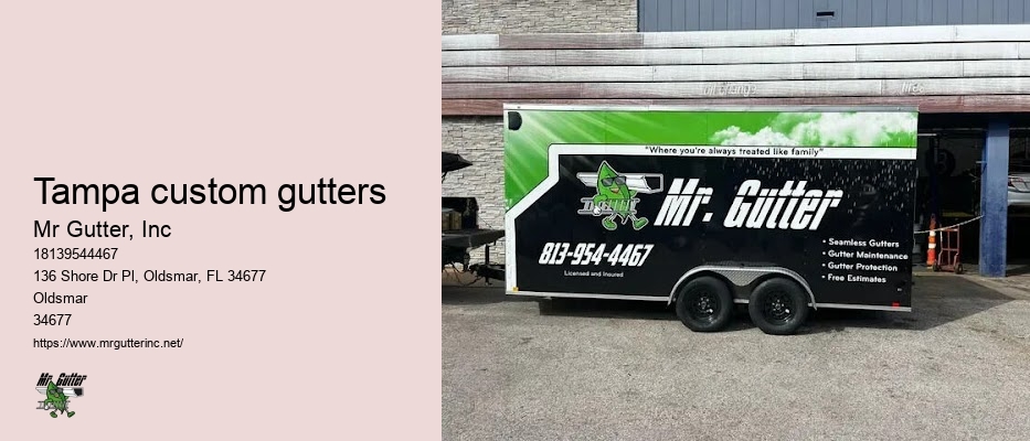 Tampa custom gutters gutter installation quotes