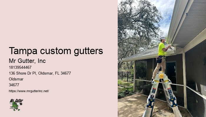 Professional gutter maintenance Tampa custom gutters