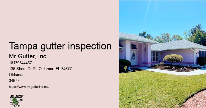 Gutter installation pros Tampa gutter inspection
