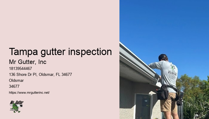 Gutter installation service area Tampa gutter inspection