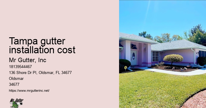 Affordable gutter replacement Tampa gutter installation cost