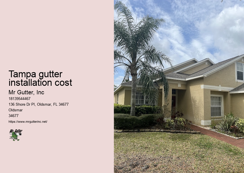 Professional gutter repair Tampa gutter installation cost