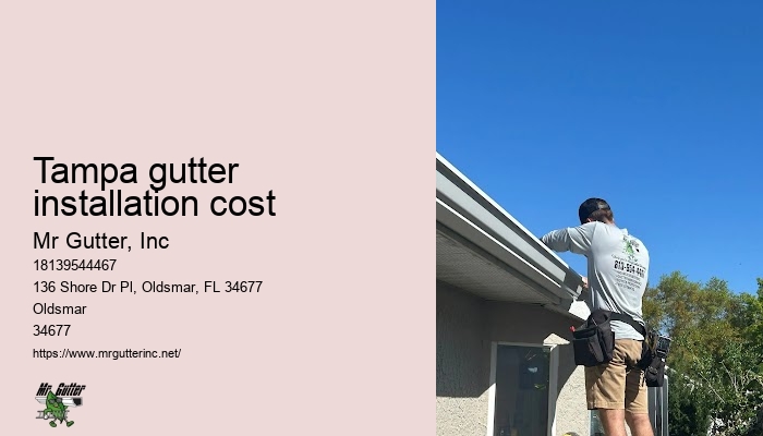 Gutter repair experts Tampa gutter installation cost