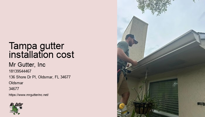 Leaf guard gutter installation Tampa gutter installation cost