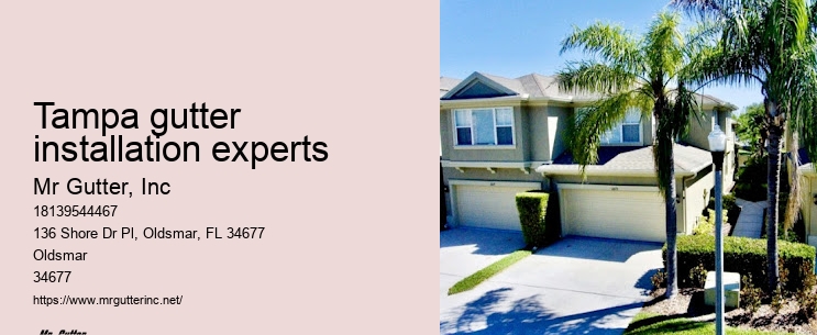 Gutter installation cost Tampa gutter installation experts