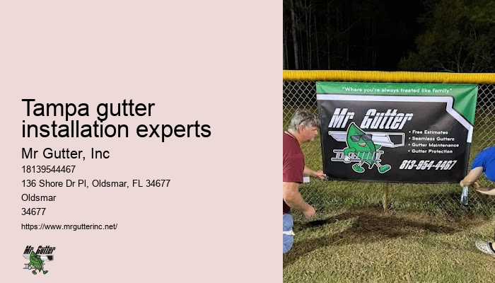 Best gutter systems Tampa gutter installation experts
