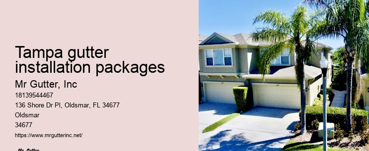 Tampa gutter installation packages rain gutter installation