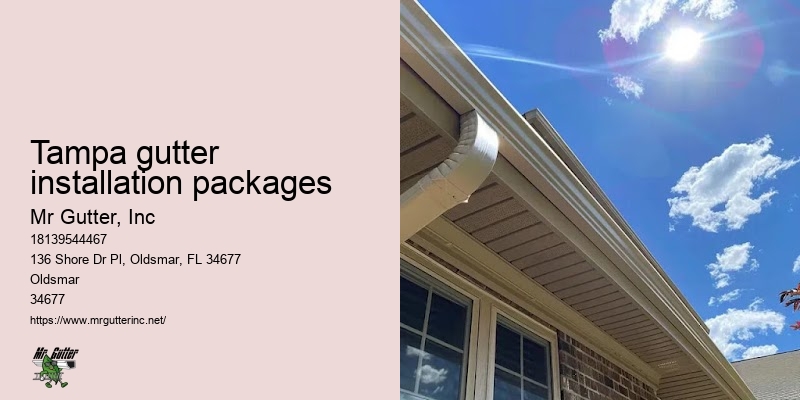 PVC gutter installation Tampa gutter installation packages