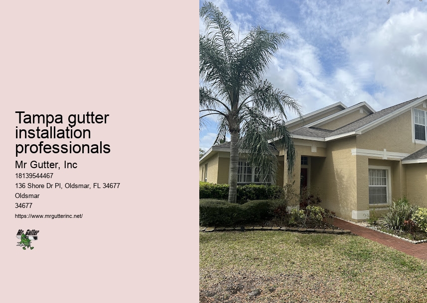 Renovation gutter installation Tampa gutter installation professionals