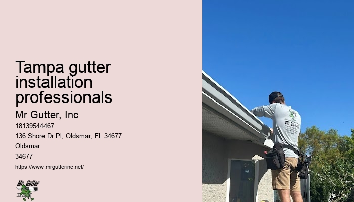 Gutter installation for historic homes Tampa gutter installation professionals
