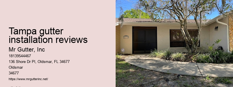 Reliable gutter repair Tampa gutter installation reviews