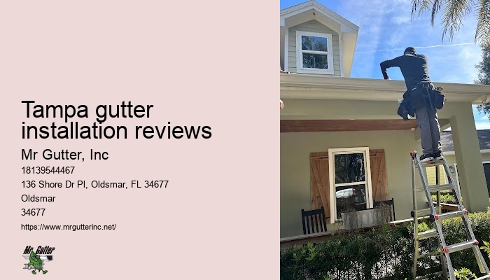 Quality gutter repair Tampa gutter installation reviews