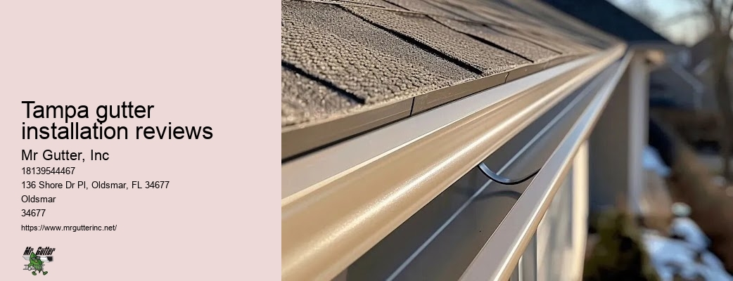 Top-rated gutter repair Tampa gutter installation reviews