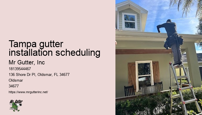 Copper Gutter Systems Tampa gutter installation scheduling