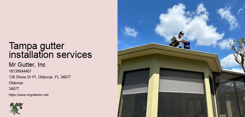 Top gutter installation Tampa gutter installation services