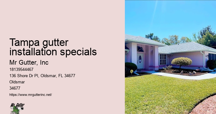 Tampa gutter installation specials seamless gutter installers