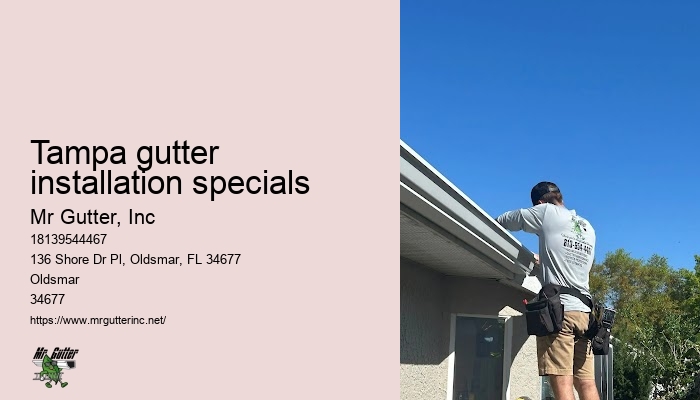 Affordable rain gutters Tampa gutter installation specials
