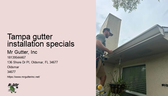 Best rain gutter installation Tampa gutter installation specials