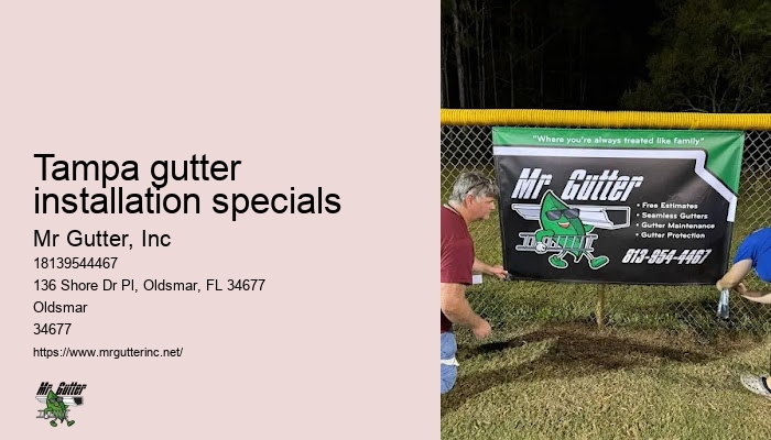 Tampa gutter installation specials gutter installation solutions