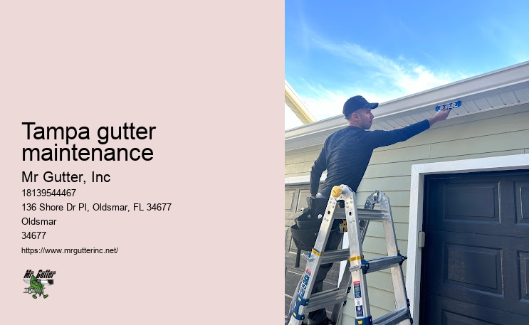 Reliable gutter services Tampa gutter maintenance