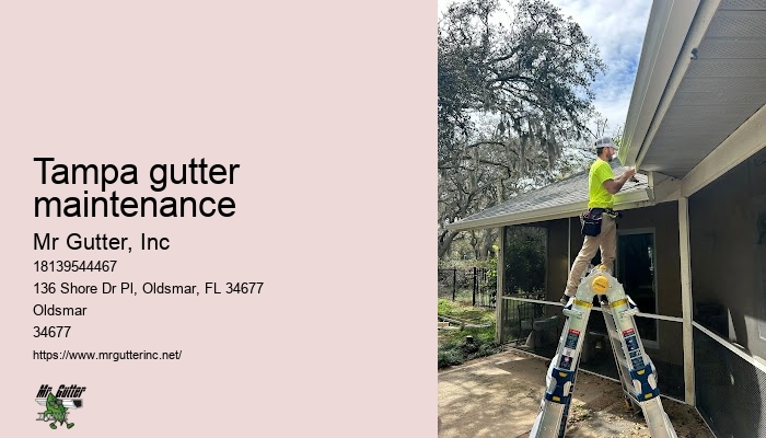 Tampa gutter maintenance gutter repair experts