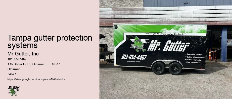 Tampa gutter protection systems