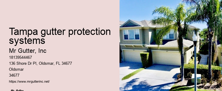 Gutter installation packages Tampa gutter protection systems