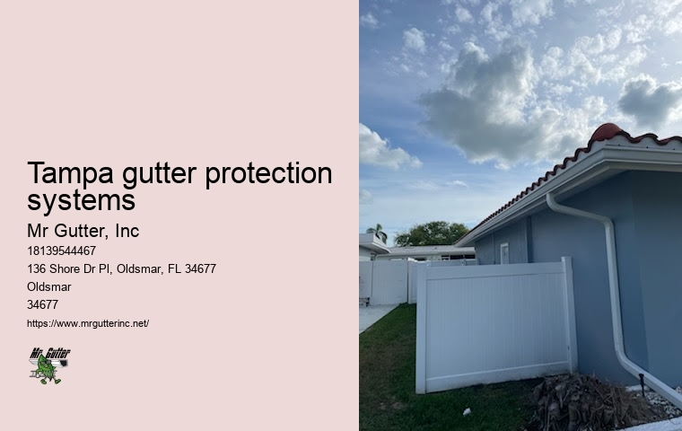Comprehensive gutter services Tampa gutter protection systems