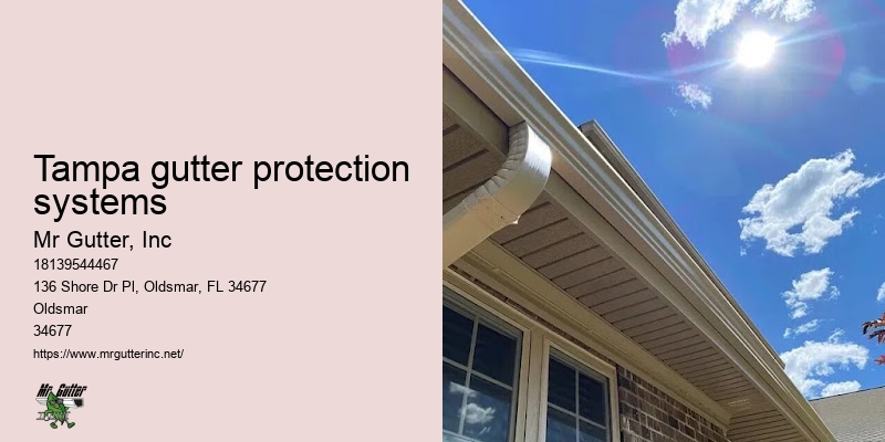 High-quality gutters Tampa gutter protection systems