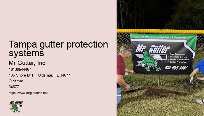 Tampa gutter protection systems gutter replacement cost