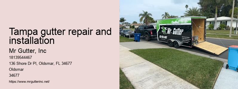 Tampa gutter repair and installation custom gutter solutions