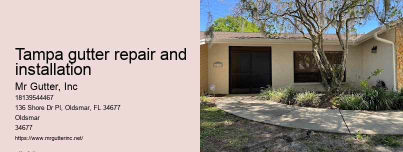 Top gutter maintenance Tampa gutter repair and installation